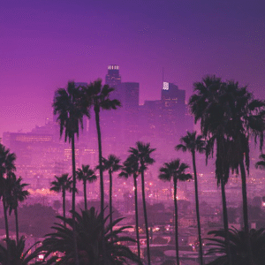 LOS ÁNGELES - SAN FRANCISCO MT-42465