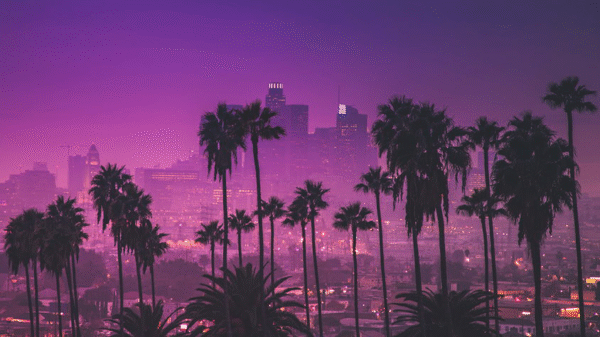 LOS ÁNGELES - SAN FRANCISCO MT-42465